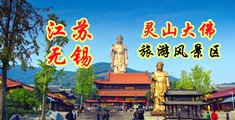 www.黑屌江苏无锡灵山大佛旅游风景区