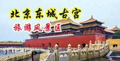 18下禁乳中国北京-东城古宫旅游风景区